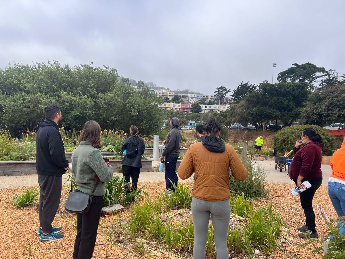 UCSF PLUS Program tweet media