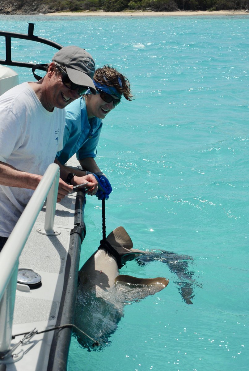 Grace Casselberry tweet media