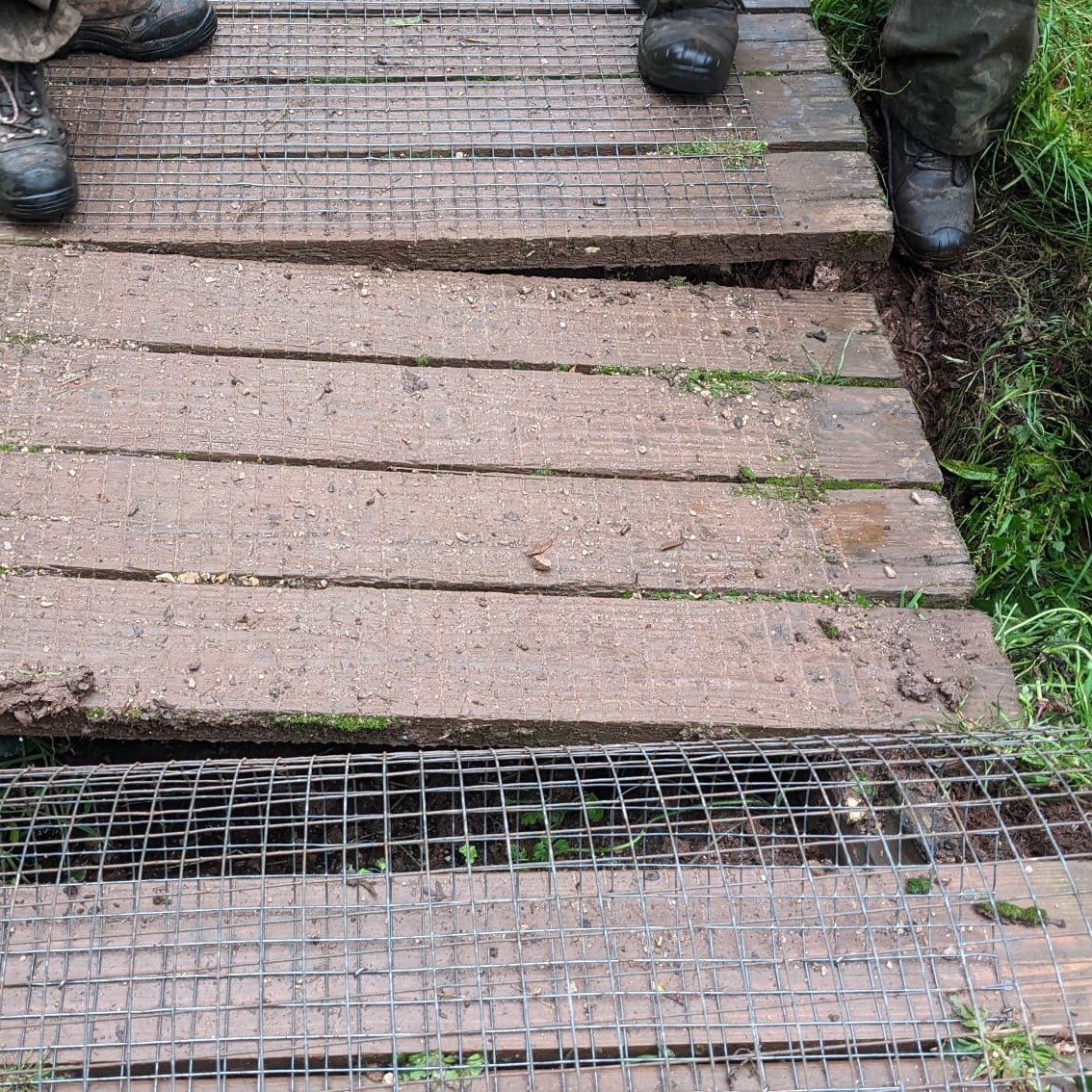 Cockington Park tweet media