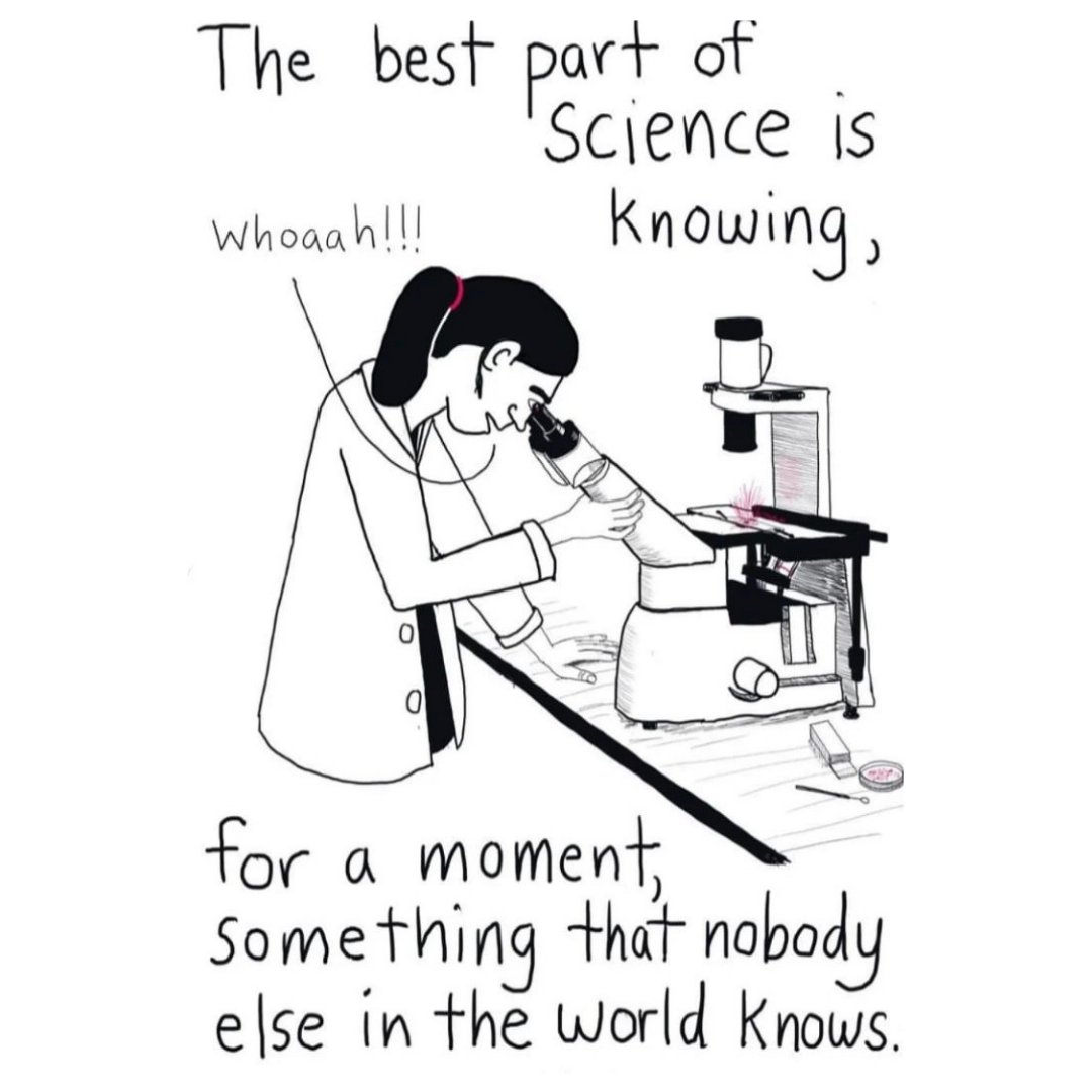 Microscopy Society (@microscopysoc) on Twitter photo Happy #FunFriday. Enjoy the weekend! #ScienceHumor Photo Credit: redpenblackpen Happy #FunFriday. Enjoy the weekend! #ScienceHumor Photo Credit: redpenblackpen