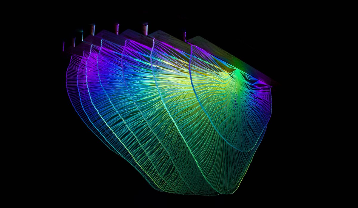 AztecaCecropia's tweet photo. Happy #sciartportfolioweek! I'm a biologist creating artwork that illustrates the narrative of my research by using data from the actual experiments to inform patterns in the pieces, usually displayed as light and sculpture. #SciArt #dataviz https://t.co/RDS0mIWzc2 https://t.co/e7ywJ34nuz