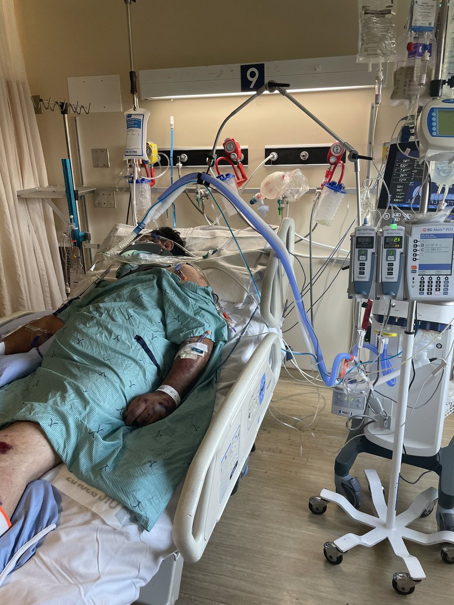 Wali Shah tweet media