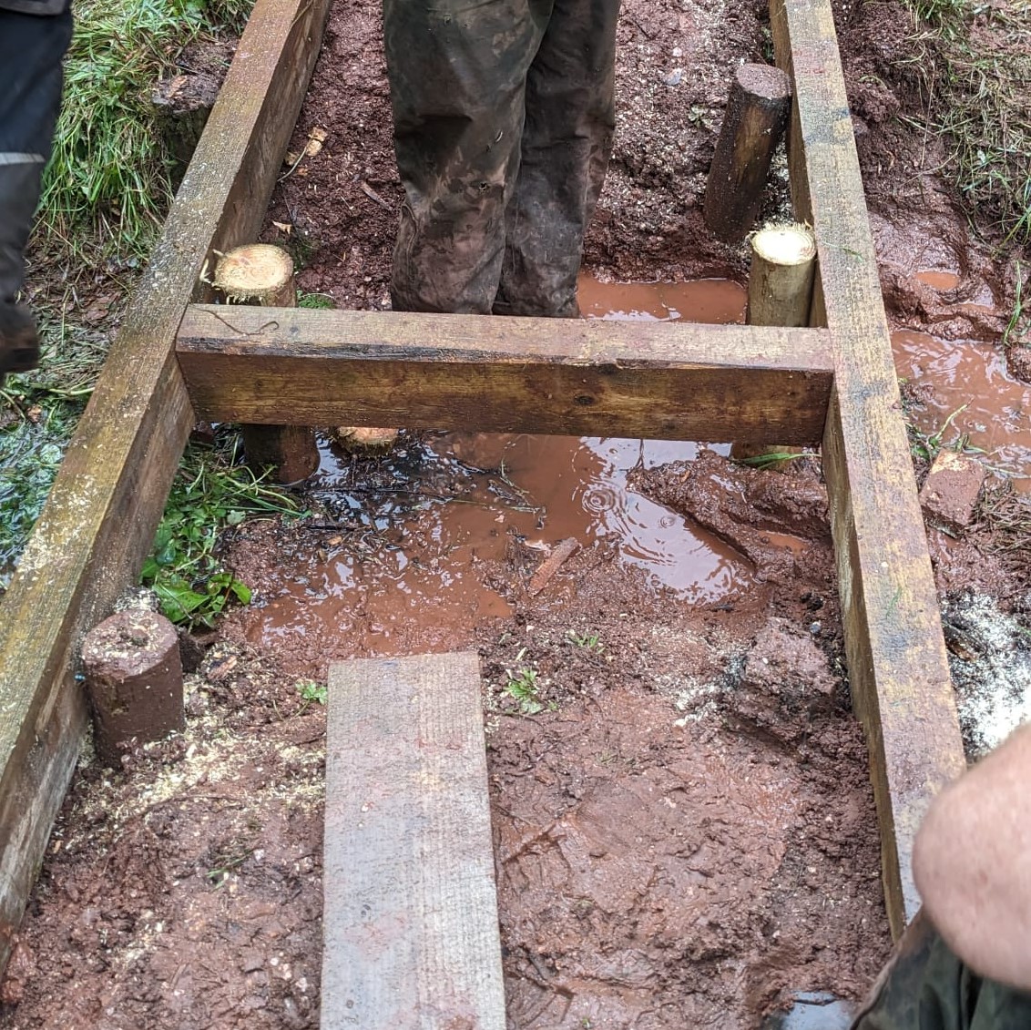 Cockington Park tweet media