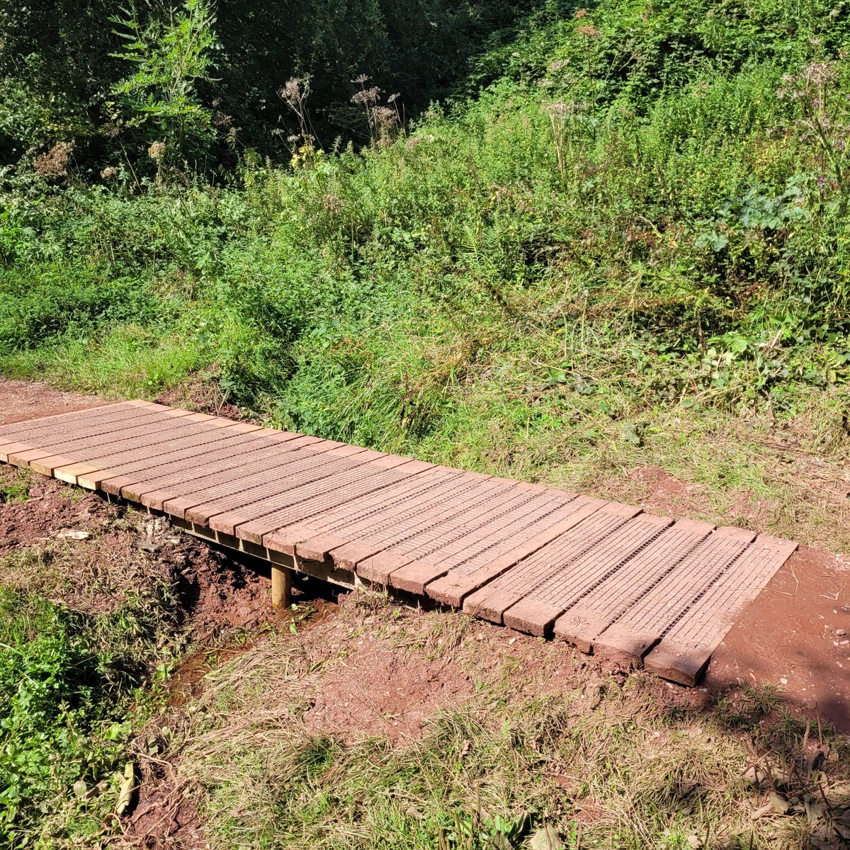 Our ranger team cares for over 40 miles of footpath right across Torbay. This week the team has been out fixing a collapsed section of boardwalk in the Cockington Water Meadows. This is a beautiful walk through meadows and woodland, connecting Cockington to the coast.