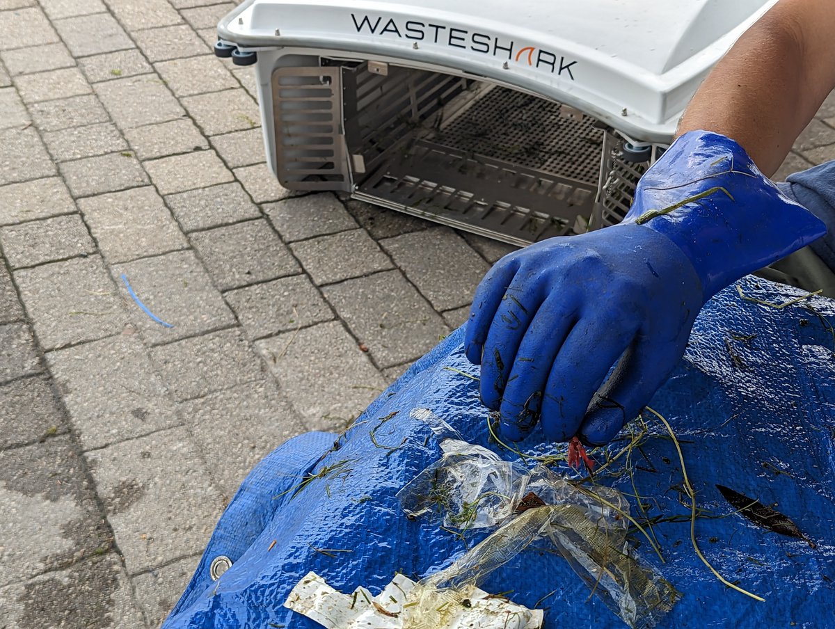 UofTTrashTeam's tweet photo. Woohoo, they're finally here!! The @Sharks_TO (Ebb and Flow) have officially joined @PortsToronto Trash Trapping Program’s network of Seabins. We've got a small taste of some of the trash they collect and can't wait to share more results with everyone!! #SharksTO #WasteShark https://t.co/NchscEw79h