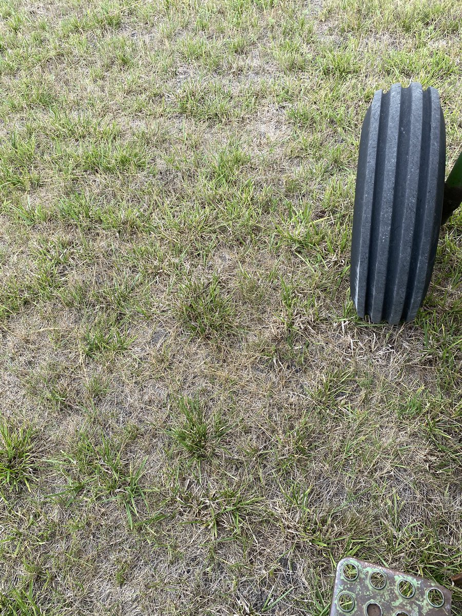 kurt_drummer's tweet image. This part of the hayfield has no grasshoppers! But this other part of the hayfield does🤦‍♂️ Man do I love #farming and #haying season! #mbag