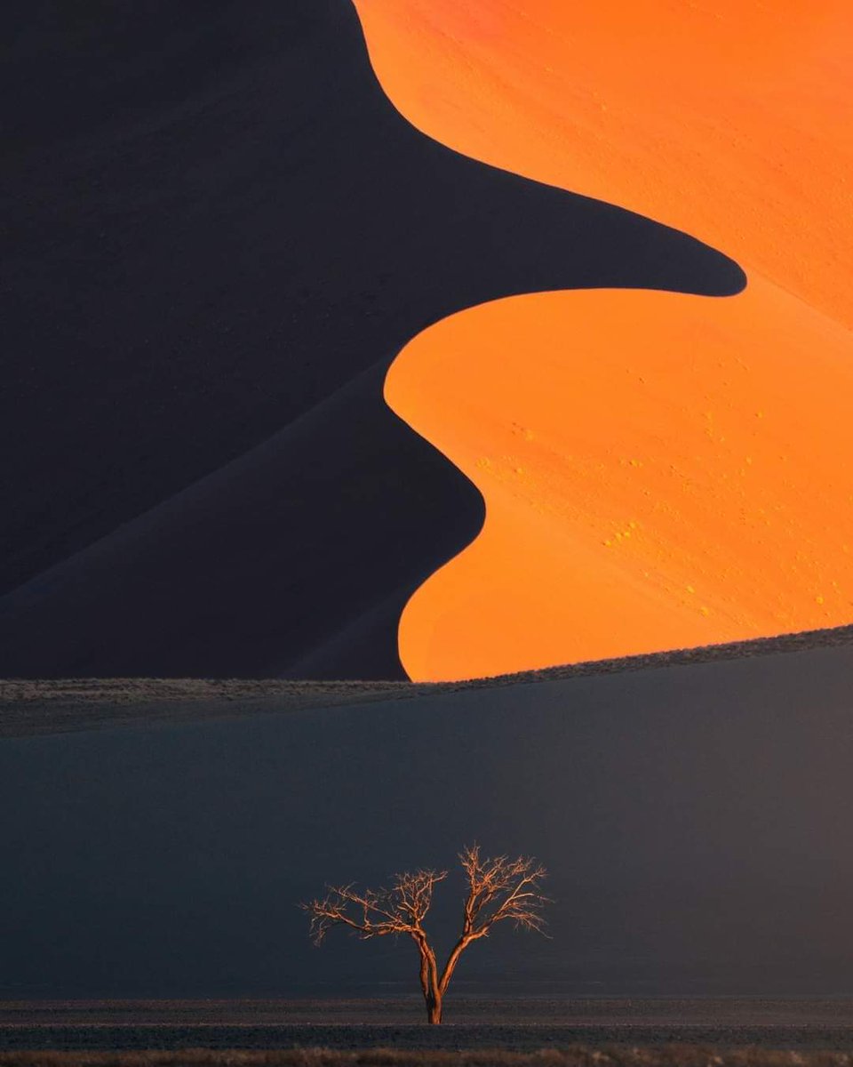 rastyexpert's tweet photo. j'aime le désert✨🏜️🏝️ https://t.co/PuMZd82M9c