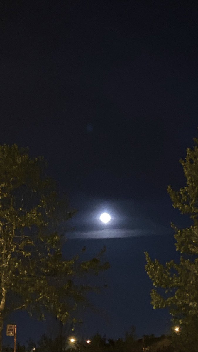 We're running in the moonlight
We're dancing in the open waves
You're hangin' for a good time
Something that'll make you stay
And girl, you fall down again
You tell me you're all out again
We're running in the moonlight
Could you show me the way again?