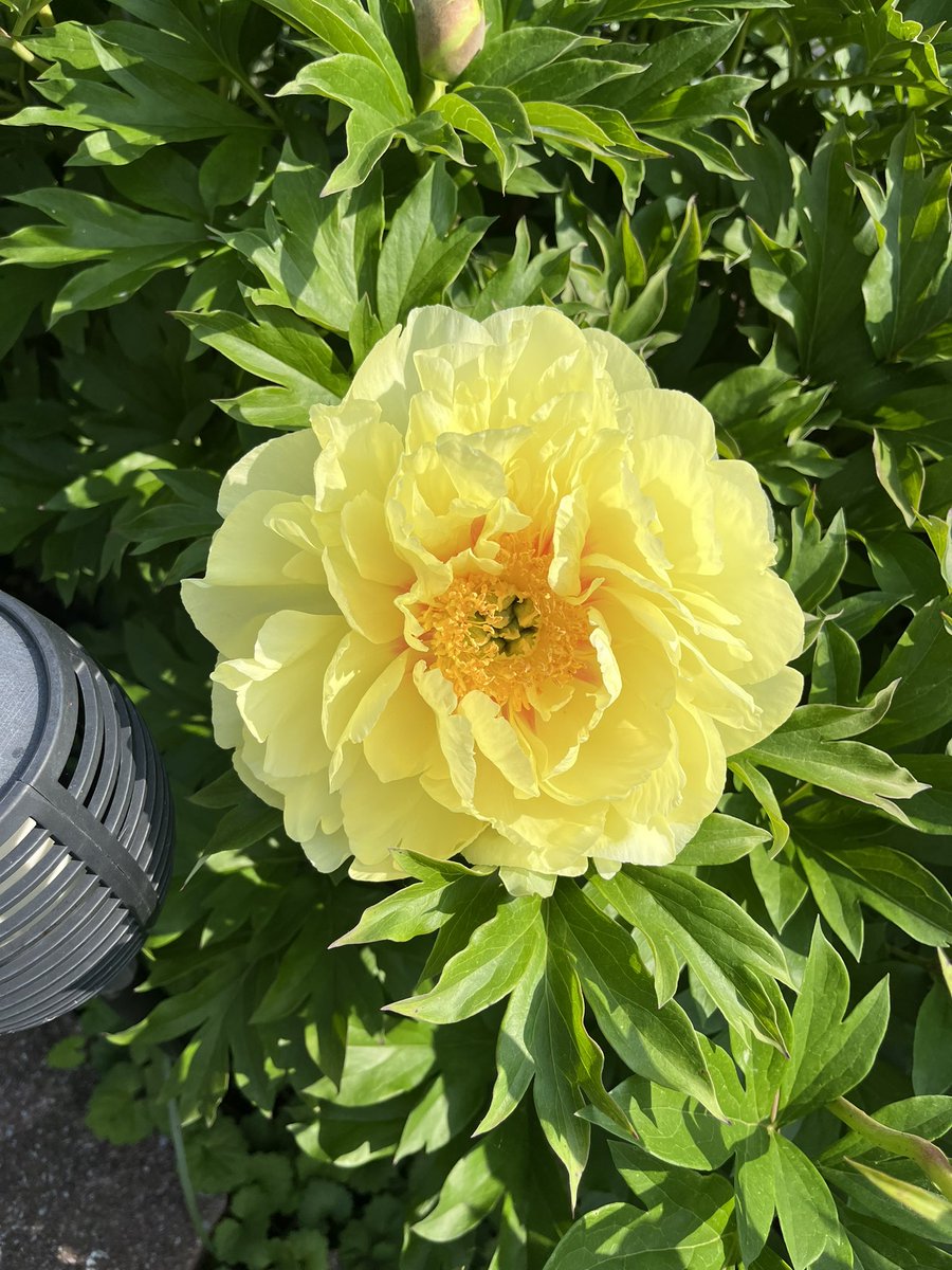 Kim Mryncza tweet media