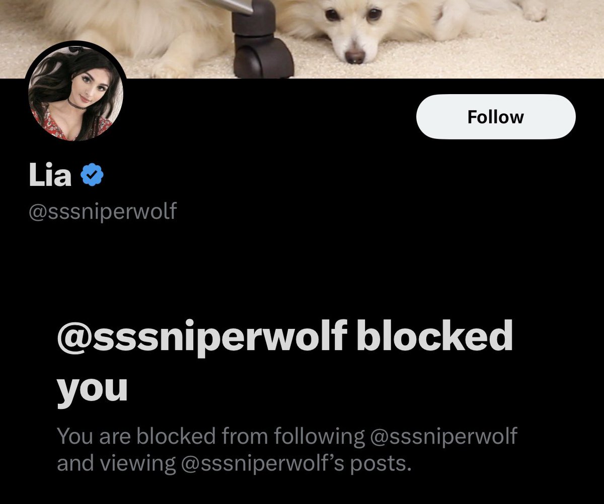 AlbertsStuff's tweet image. im killing my self