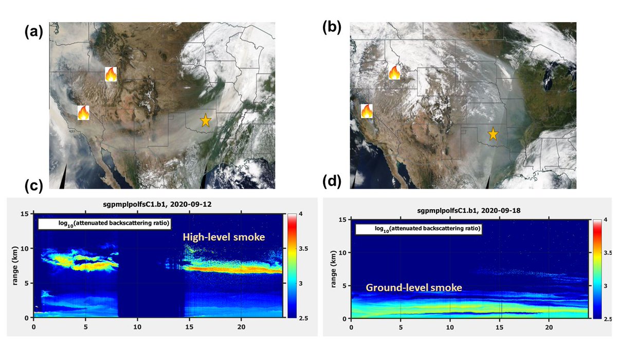 Marcela Loria tweet media