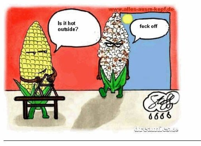 hahaha https://t.co/ZsTW41pBIk