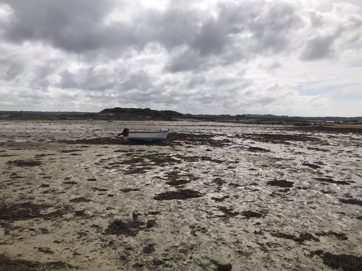 PSimonOF's tweet image. En ces journées de grandes marées, de nombreux amateurs de #pêche à pied et des promeneurs étaient au rendez-vous de l’île #Callot et de sa route submersible, à #Carentec (#Finistère) @OuestFrance29 #Bretagne