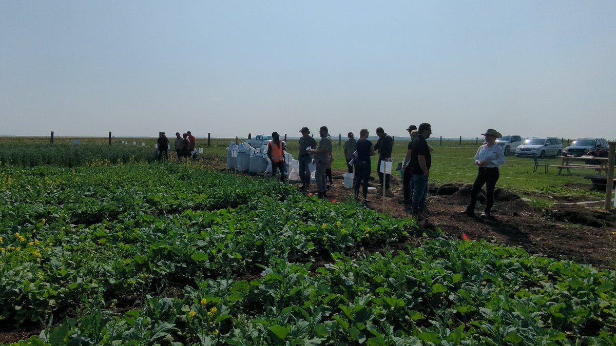 Emmanuel Badewa, PhD tweet media