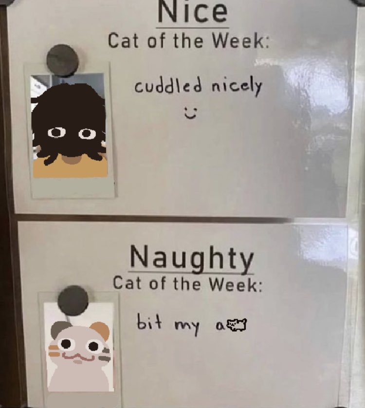 cuptoast's tweet photo. the truth… https://t.co/IZalTwEPz8