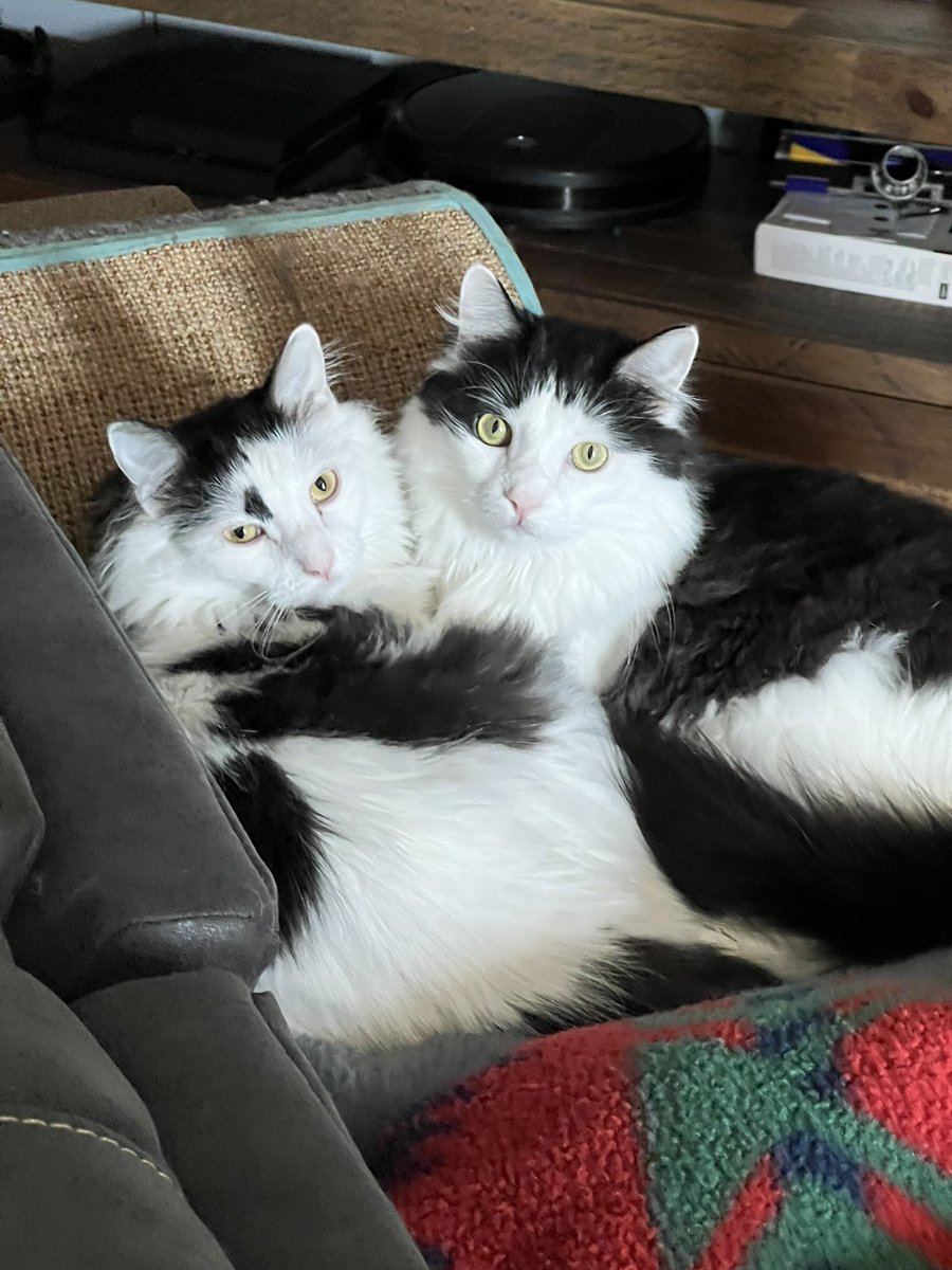 ☆Chris☆ tweet media