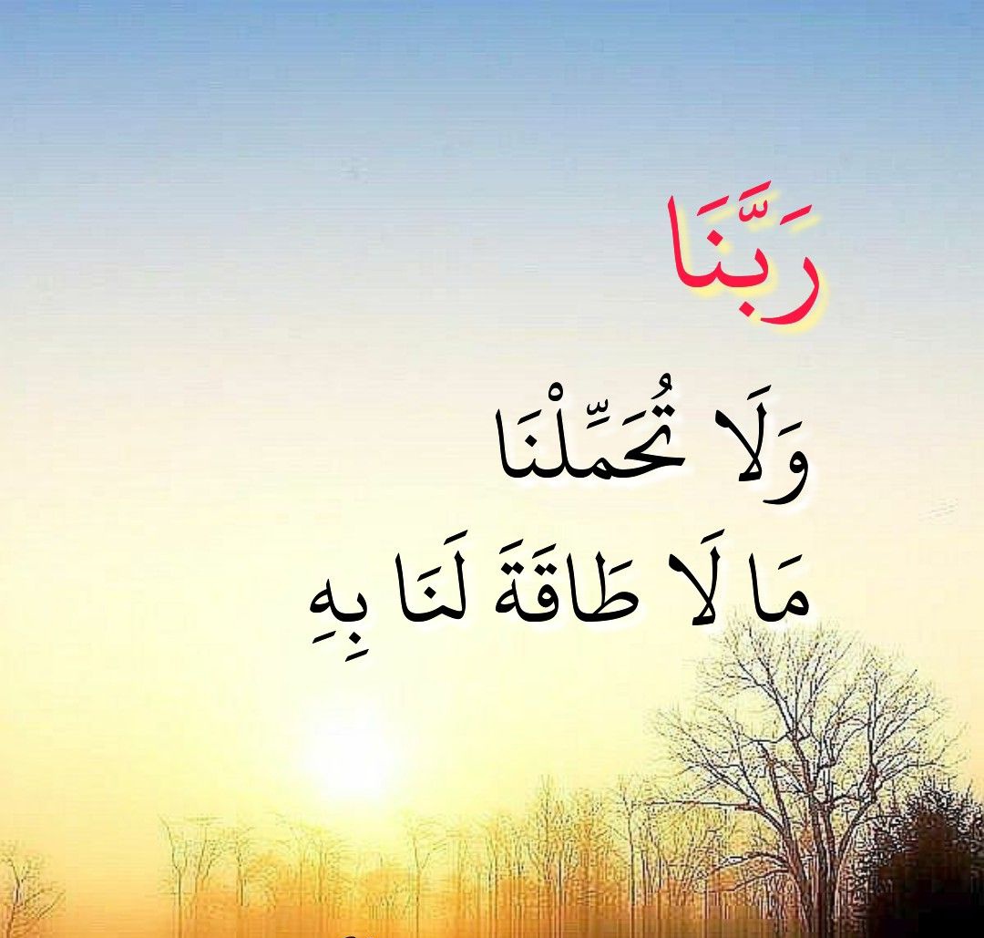 Elpoptop1981's tweet photo. عيش حياتك براحتك قضيها فى الساحل الشمالى او الساحل الطيب او الساحل الشرير بس متزعلش بقا لما تروح هناك فى الاخره وتاخد كتابك بشمالك وتلاقى فيه كل الحاجات الجميله اللى عملتها هناك  ربنا يهدى الجميع قبل فوات الاوان ونندم 
فرح ساعه وندم باقى العمر🥲 https://t.co/x9OPeA8ohA