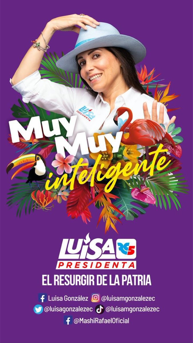 Mashipresidente's tweet photo. El #EcuadorMuyMuy cerca del #ResurgirDeLaPatria con nuestra futura presidenta.

Vuelven los tiempos de gloria, este 20 de agosto todo 🖐🏼🗳️.

@LuisaGonzalezEc @LuisaPresidenta https://t.co/MJDB3jovXd