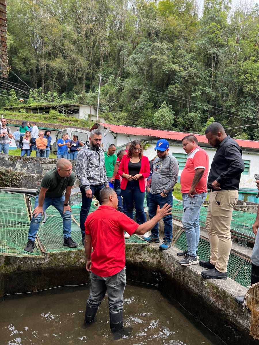 Minpescave2's tweet photo. Por instrucciones del Pdte. @NicolasMaduro, la fuerza trabajadora de @Minpescave2 está desplegada en #Mérida para dar inicio al Plan de Recuperación de la Producción de trucha, en conjunto con el gobierno regional y el sector truchicultor.

@NicolasMaduro
@Jcloyo
#GNBArmadosDePaz https://t.co/8uLQFFCO57