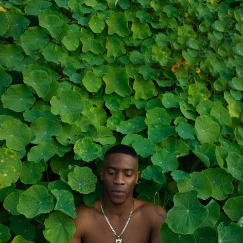 JúJú &amp; The Flowerbug