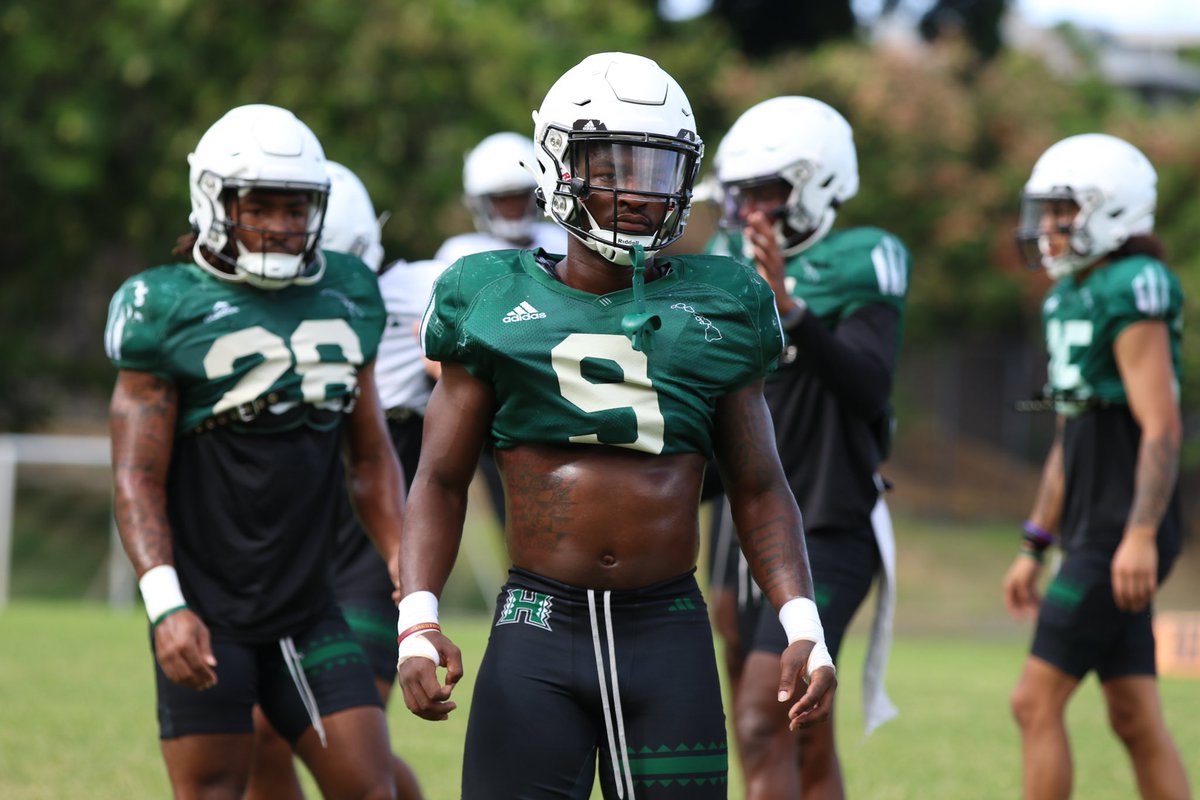 the new wave sink a swim 9️⃣🦈