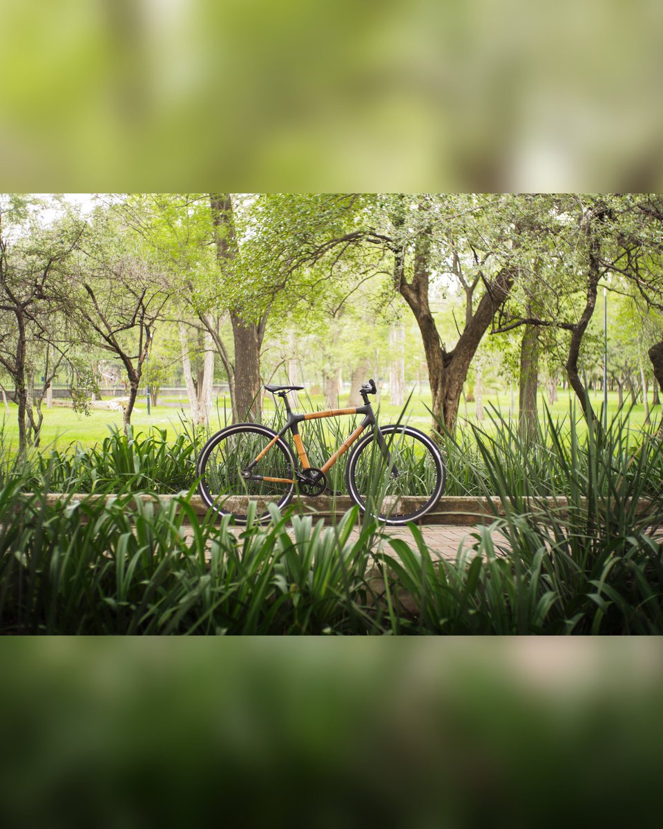 Bamboocycles tweet media