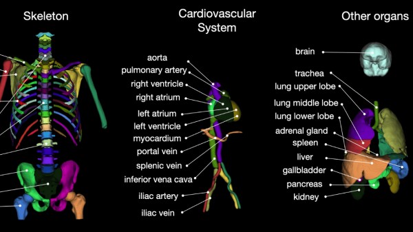 Radiology: Artificial Intelligence tweet media