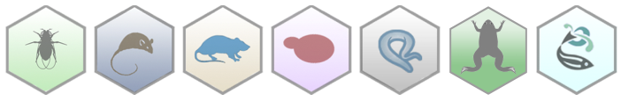 yeastgenome's tweet photo. #Homology calls in SGD are sourced thru Alliance of #Genome Resources (SGD is founding member!), via #DIOPT via @FlyBaseDotOrg; data can be downloaded from @alliancegenome Downloads site https://t.co/JeEbTaGGXr for #yeast #human #mouse #rat #zebrafish #fly #worm #frog https://t.co/M5gHrDBeZN