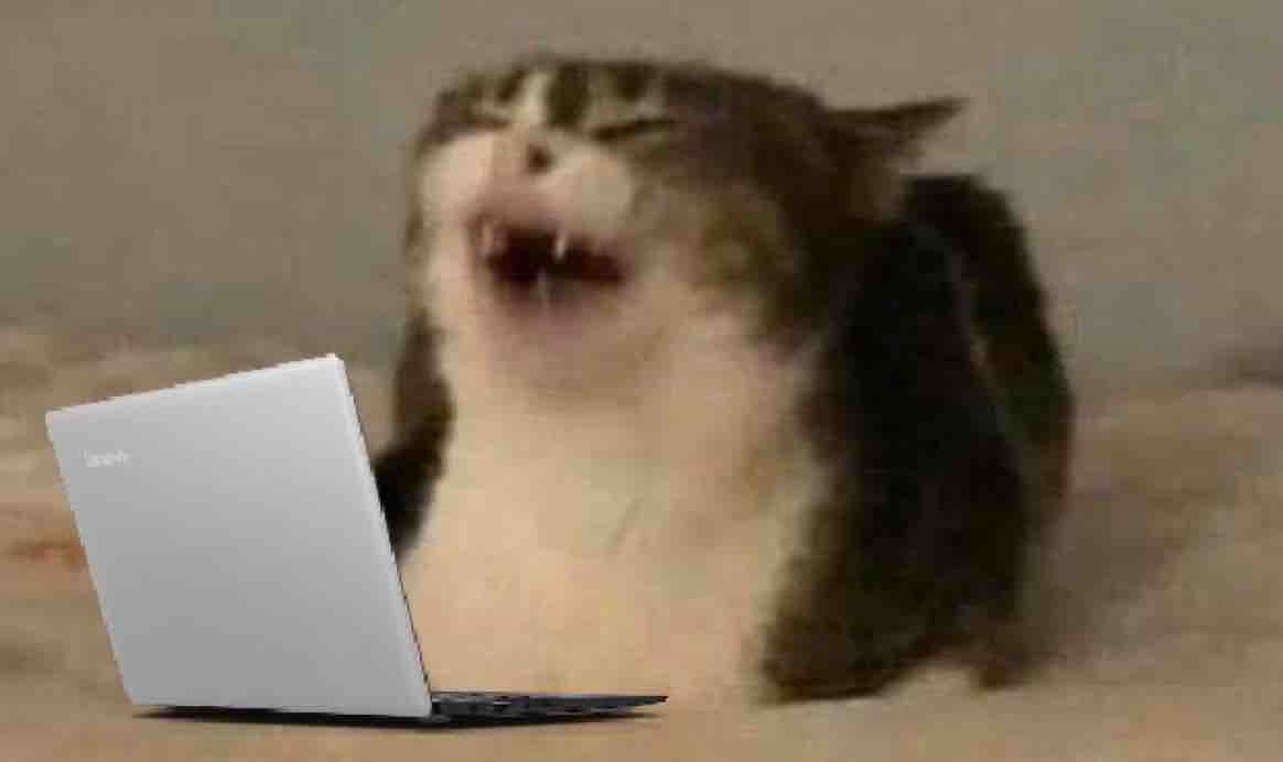 Guarromantico_'s tweet photo. Yo en el trabajo viendo memes en lugar de estar trabajando. https://t.co/gx1fgziH1w