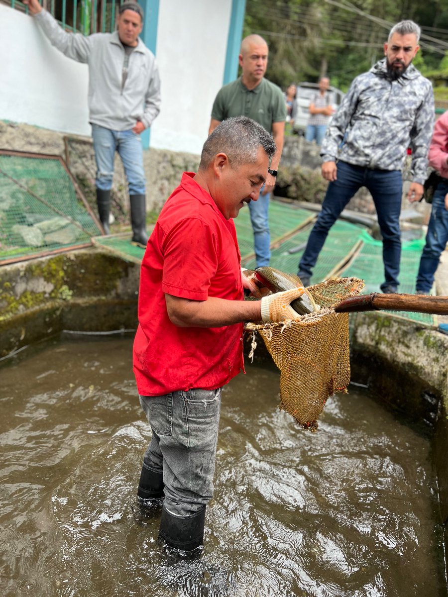 Minpescave2's tweet photo. En nuestro despliegue a #Mérida se están evaluando los escenarios, necesidades y nudos críticos para avanzar con el reimpulso productivo de la truchicultura en  en la región.

@NicolasMaduro
@Jcloyo
#GNBArmadosDePaz https://t.co/AQAu8KBj62