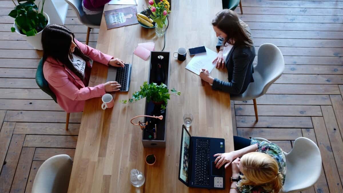 matt tenney tweet media