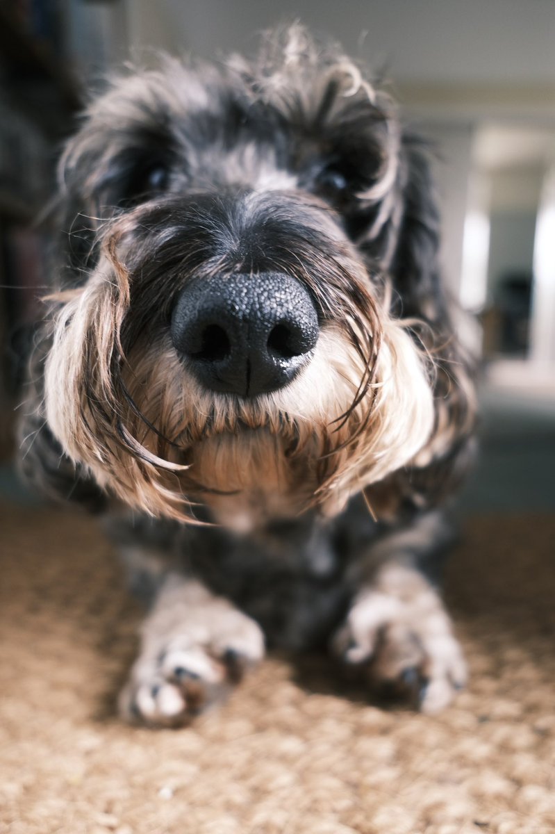 Wally Bobbers 💜 tweet media