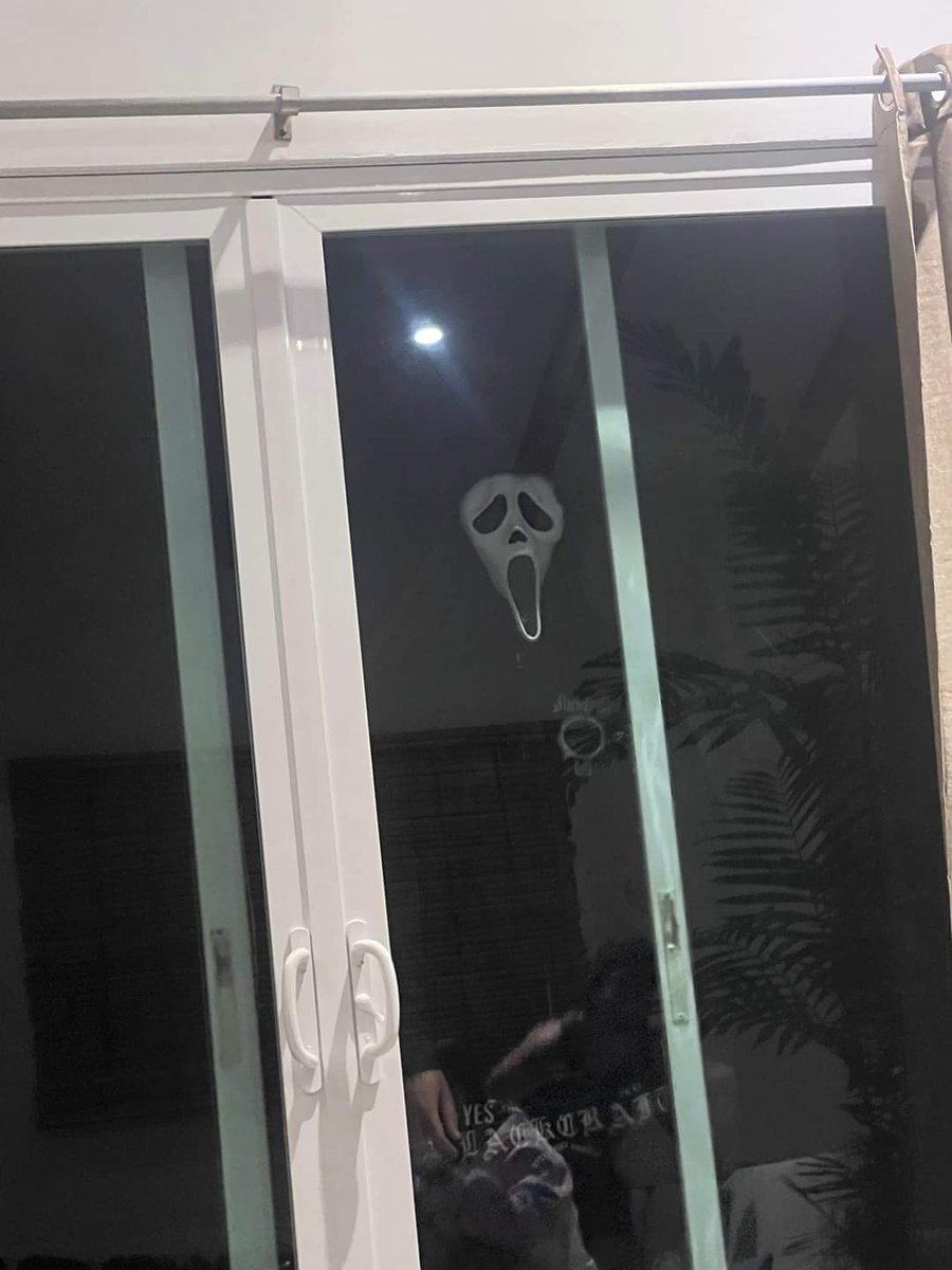 Currently on vacation in Costa Rica and brought my mask because why not. Gave my friends a fun little scare lol. Took them a good few minutes to realize I was standing there. Just call me Ghosta Rica Face.
@WiBillyHargrove <a href="/EmilyMedlin222/">Emily Medlin</a> <a href="/JordanMcewen4/">Jordan Mcewen</a>