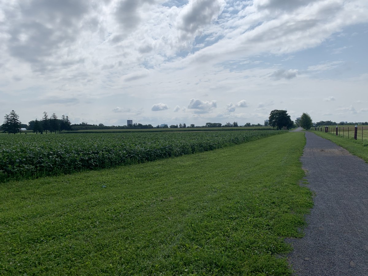 Denise Eisner tweet media