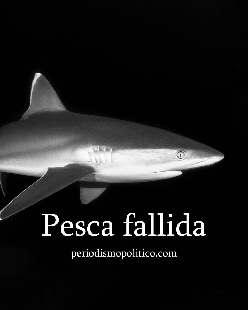 La <a href="/FiscaliaSLP/">Fiscalía San Luis Potosí</a> ha sido incapaz de “pescar” a Fernando Medina Ramírez, conocido como “El Tiburón” y sigue corriendo el tiempo.

No ha procedido de manera tan eficaz como en el del presidente municipal de Matehuala, Iván Noé Estrada Guzmán.

periodismopolitico.com/fallida-la-pes…