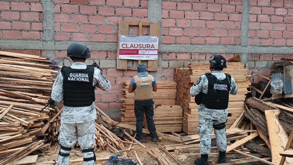 martibatres's tweet photo. Gracias al Operativo Interinstitucional contra la Tala Ilegal se desmantelaron, otros 9 aserraderos clandestinos, con la participación de @SEDENAmx, @corenadr, @SeGobCDMX, @SSC_CDMX,  @GN_MEXICO_ y @PROFEPA_Mx. Se recuperaron:

✅1,230 trozas de madera 
✅2,012 tablas
✅2,625 piezas de madera en escuadría
✅ 4,363 polines
✅1,365 troncos