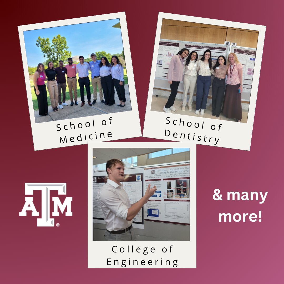 This past Wednesday, we hosted our annual summer poster session! We were fortunate to hear from students from nearly every discipline at <a href="/TAMU/">Texas A&M University</a>, including guests from <a href="/AggiesByTheSea/">Texas A&M Galveston 👍🌊</a>! With over 100 students presenting, it was a research-packed day! Thanks to everyone who attended!