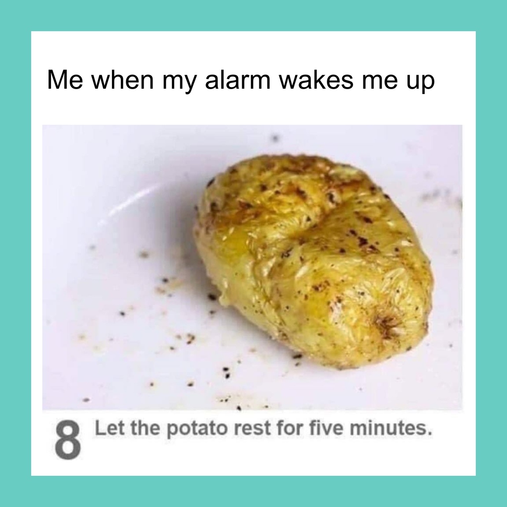 sleepenvie® tweet media