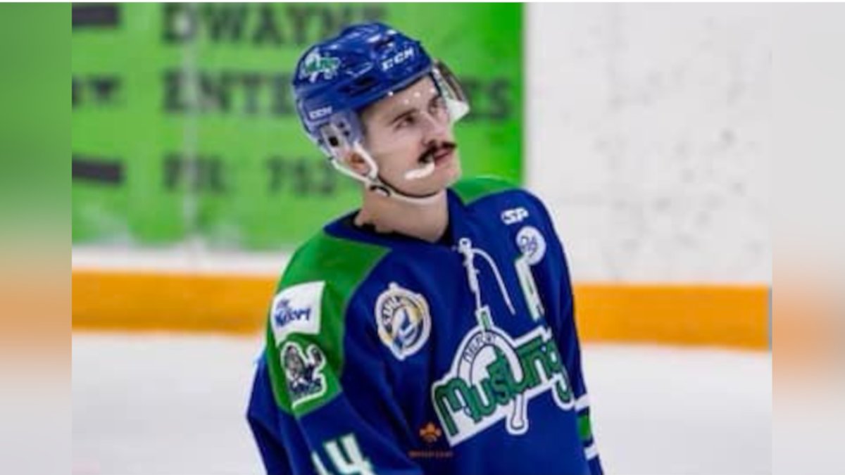 northeastNOW_SK's tweet photo. Tye Scherger announced as Mustangs’ new assistant coach https://t.co/LaYf61utP7 https://t.co/FyD2CJyfbl