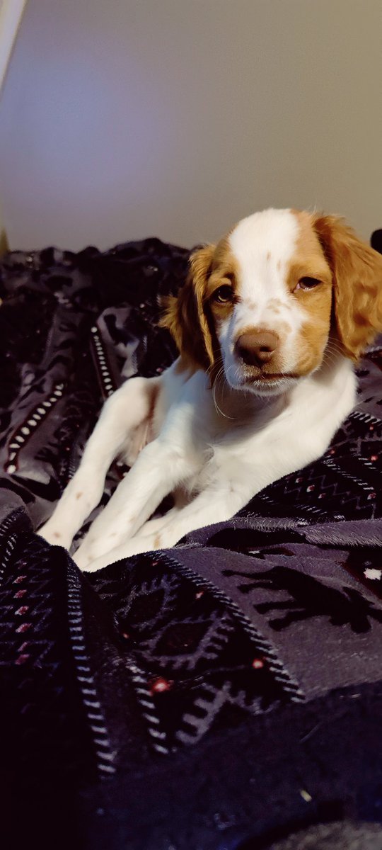 RG | NBroadsword tweet media