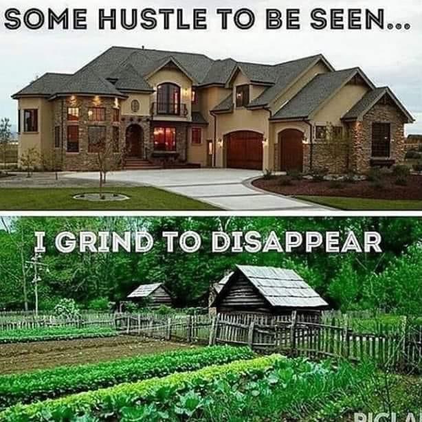 healthbot tweet media