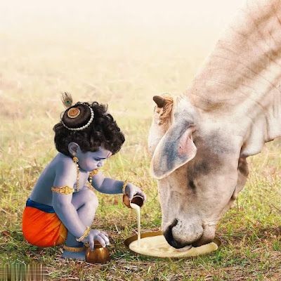 Follow the path of lord and feed the cows around you.