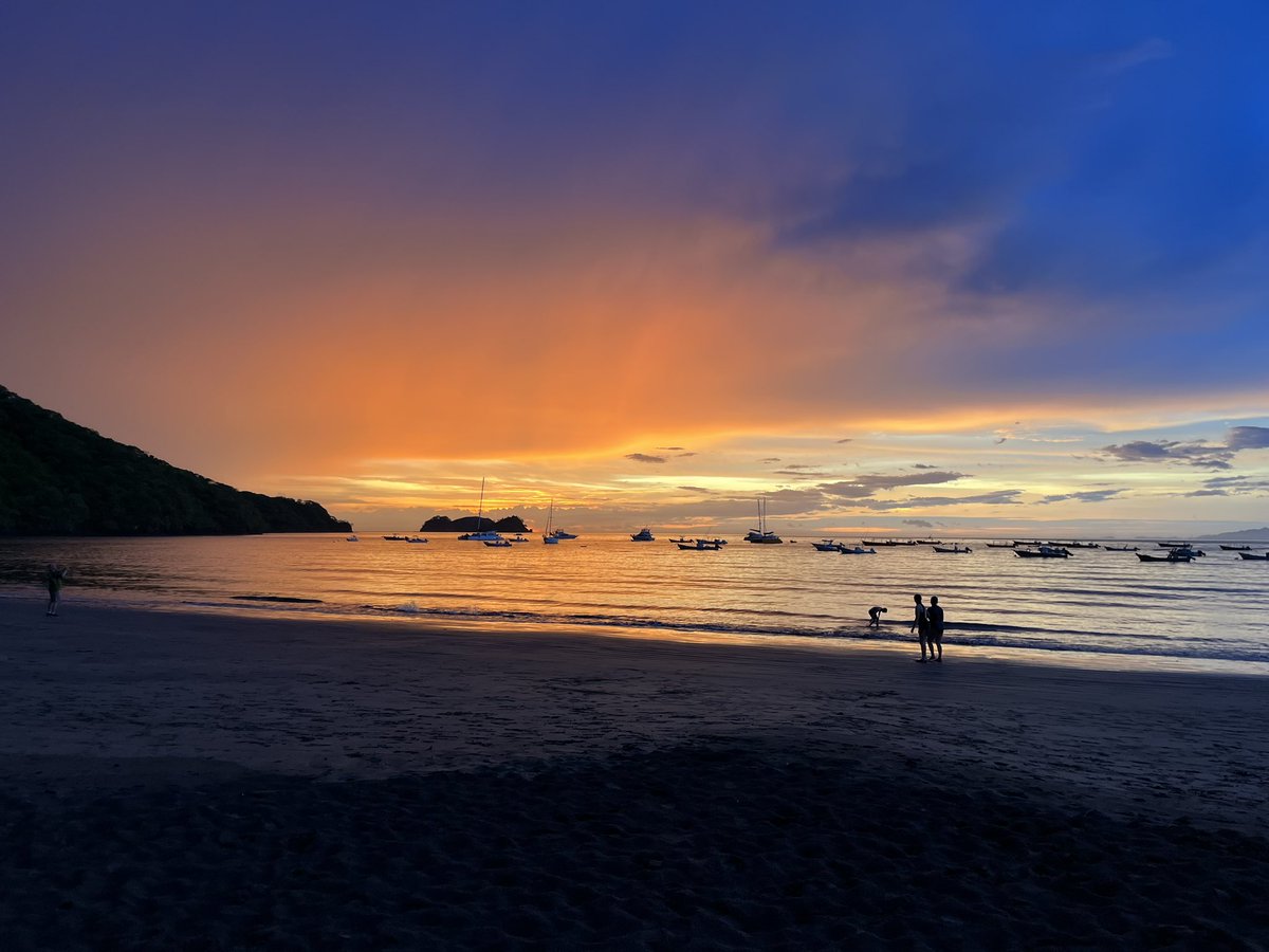 Daniel Chavarria tweet media