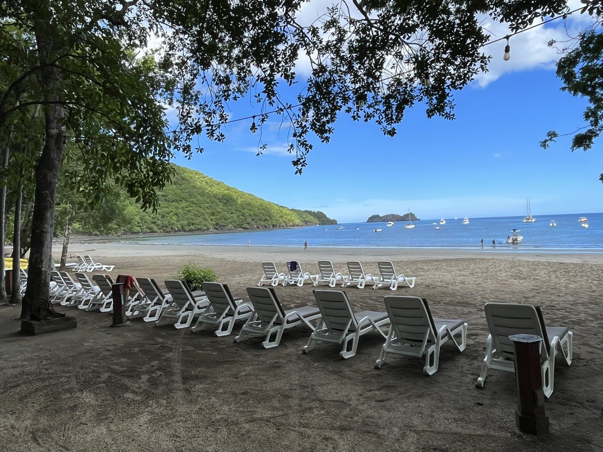 Daniel Chavarria tweet media