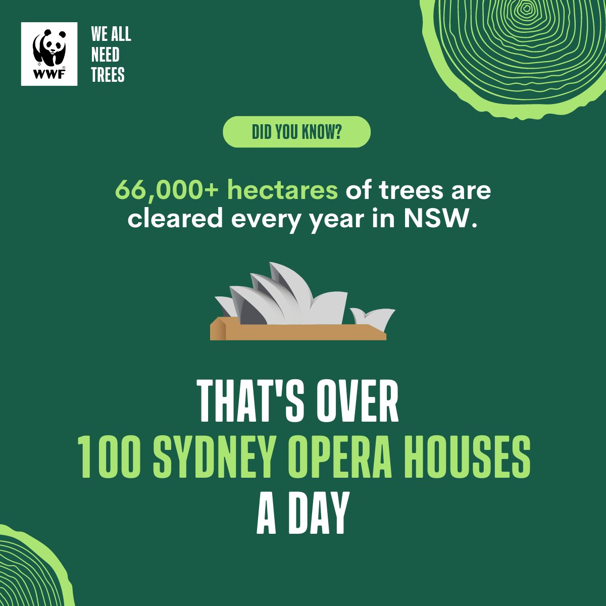 WWF_Australia's tweet photo. 66,000+ hectares of trees are cleared every year in NSW
π³ Help #NSW become a leader in protecting and restoring #trees.
βοΈ Add your voice and sign the petition today: https://t.co/X3AG6nsNmV
#Weallneedtrees #RegenerateNature #nature #conservation #regeneration #NSWPOL https://t.co/sQpMYIb9wp