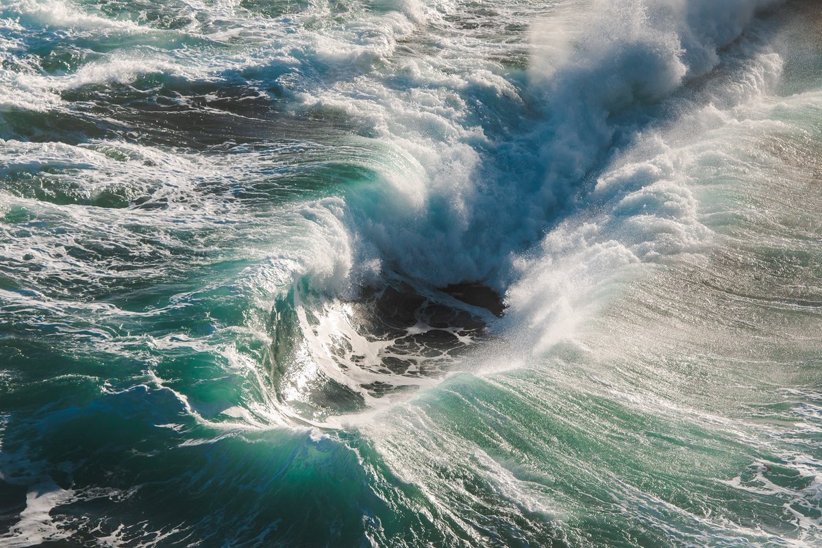 Luke Barker tweet media