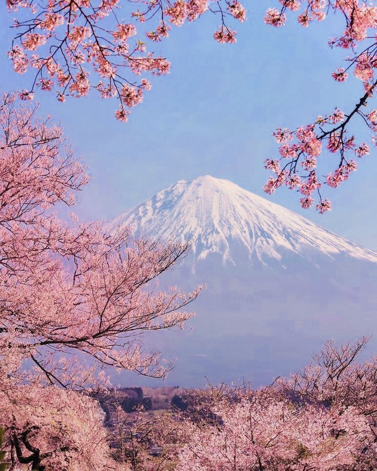 helena_mar19's tweet photo. Good Morning 
Happy Weekend 

(Japan,📷Pinterest) https://t.co/ZaGhYGsfQK