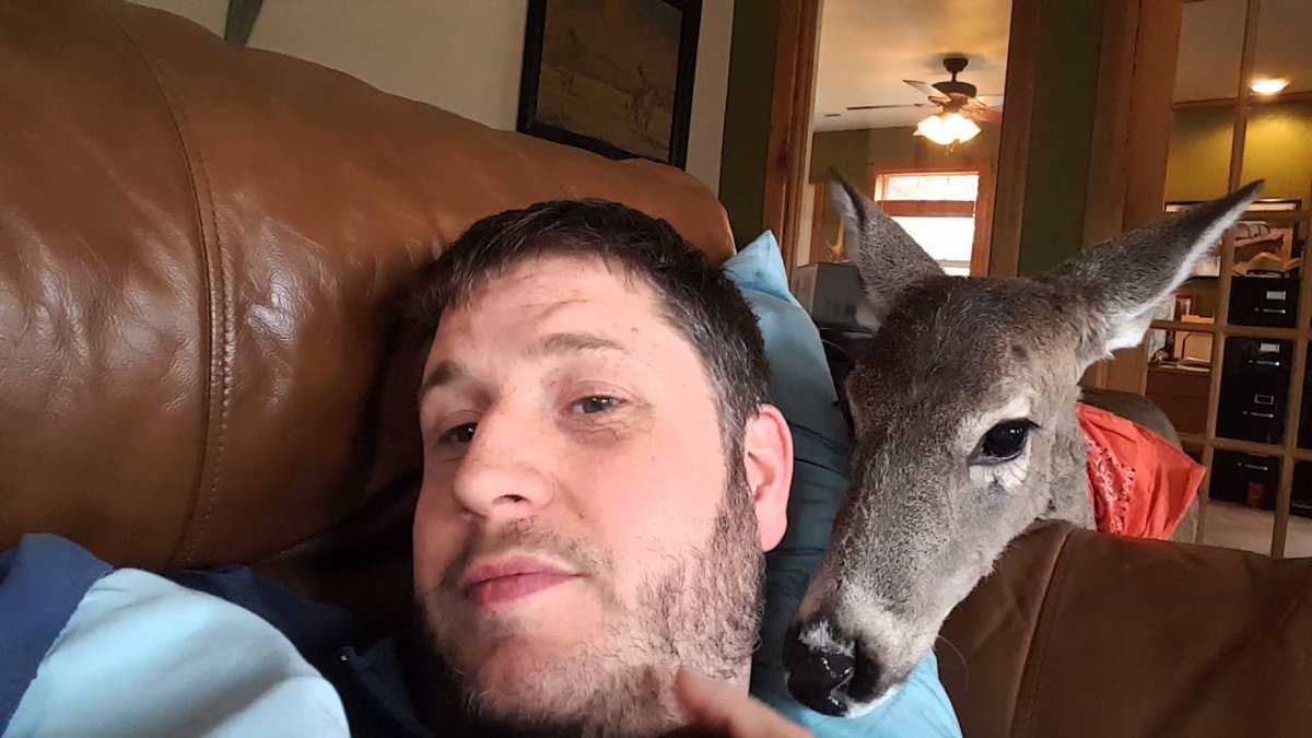 this dude just chilling with a deer