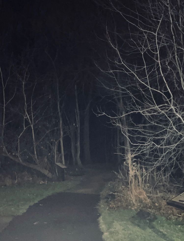 bootwtcamp's tweet image. ↳ @quackityqts , you’ve been invited to telling spooky stories by @JanaeLVJY