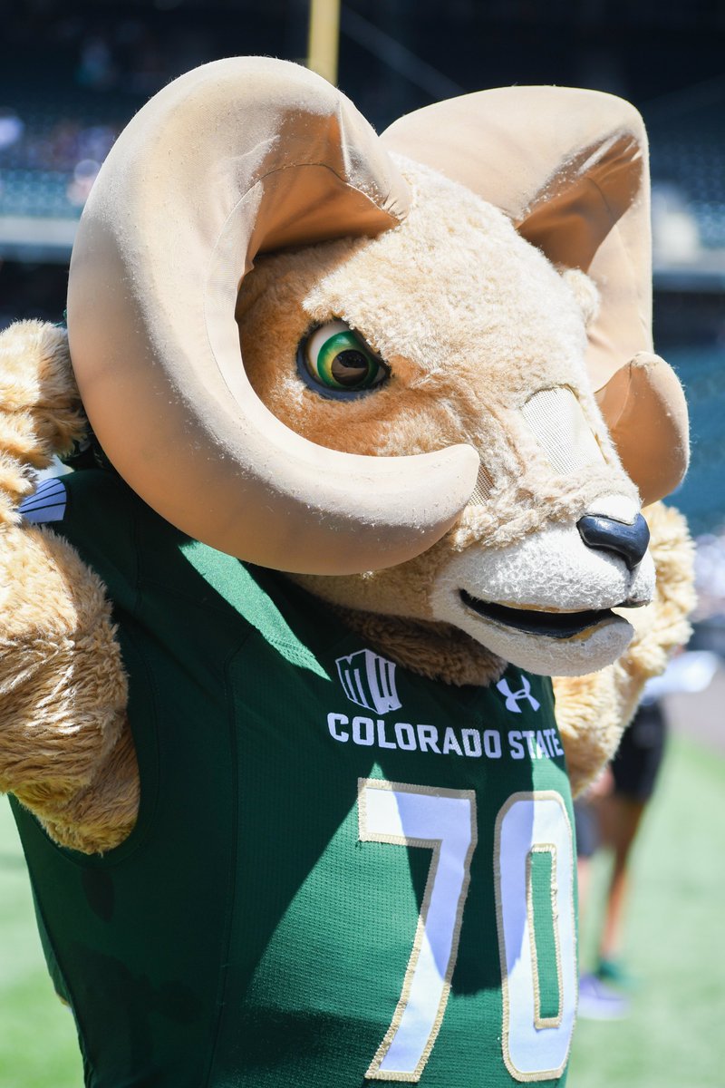 CSUAlumni's tweet photo. A Rams at the @Rockies photo dump is necessary at this point. 💜💛💚
#baseball #mlb #alumni #alumnievent #collegealumni #alumnus #rampride #greenandgold #coloradorockies #camtheram #csualumni #baseballseason #almamater https://t.co/7PErh933JV
